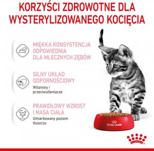 Royal Canin ROYAL CANIN Kitten Sterilised 12x85g karma mokra w sosie dla kociąt do 12 miesiąca życia, sterylizowanych + Royal Canin Piłeczka dla kota GRATIS 6
