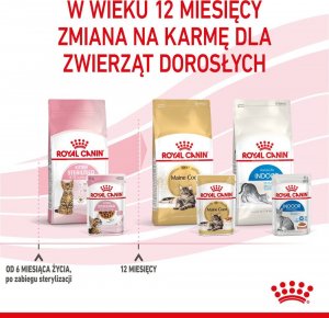 Royal Canin ROYAL CANIN Kitten Sterilised 12x85g karma mokra w sosie dla kociąt do 12 miesiąca życia, sterylizowanych + Royal Canin Piłeczka dla kota GRATIS 10