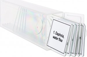 Mikroskop Discovery Zestaw mikropreparatów Prof DPS 5. Życie w kropli wody 5
