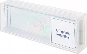 Mikroskop Discovery Zestaw mikropreparatów Prof DPS 5. Życie w kropli wody 6