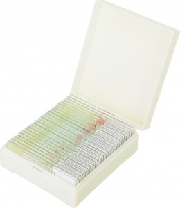 Mikroskop Discovery Zestaw mikropreparatów Prof DPS 25. Biologia, ptaki itp. 6