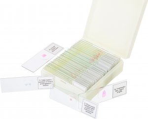 Mikroskop Discovery Zestaw mikropreparatów Prof DPS 25. Biologia, ptaki itp. 8