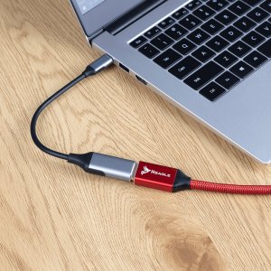Adapter USB Reagle Reagle Kabel Adapter USB-C na DisplayPort 4K 60Hz DP MAC 4