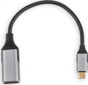 Adapter USB Reagle Reagle Kabel Adapter USB-C na DisplayPort 4K 60Hz DP MAC 9