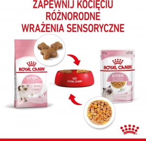 Royal Canin ROYAL CANIN Kitten Instinctive w galaretce 12x85g karma mokra w galaretce dla kociąt do 12 miesiąca życia + Royal Canin Piłeczka dla kota GRATIS 7
