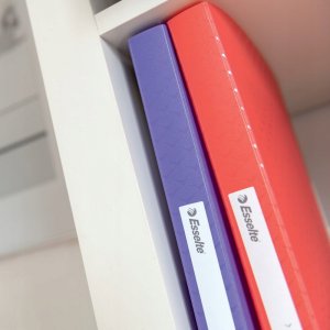 Esselte Album ofertowy Esselte C'B 40k koral 3
