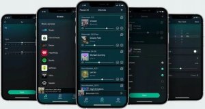 Arylic Arylic Up2Stream Amp Sub - Multiroom Wireless Subwoofer Amplifier Board 8