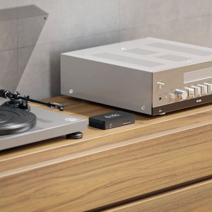 Arylic Arylic S10 Multiroom Streamer Wi-Fi, BT, Ethernet (Beginner Friendly) 2