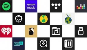 Arylic Arylic S10 Multiroom Streamer Wi-Fi, BT, Ethernet (Beginner Friendly) 6