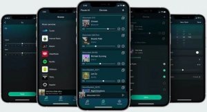 Arylic Arylic S10 Multiroom Streamer Wi-Fi, BT, Ethernet (Beginner Friendly) 8