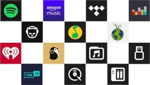 Arylic Arylic S50 PRO+ Multiroom Streamer HD + Przedwzmacniacz 5