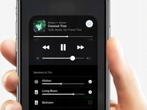 Arylic Arylic Up2Stream HD DAC - Airplay 2 High-Res Wireless Aptx HD Streaming Board (No Amp) 3