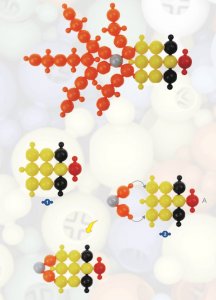 Klocki Loowi - Zestaw 40 el. 5