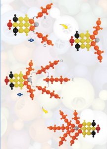 Klocki Loowi - Zestaw 40 el. 6