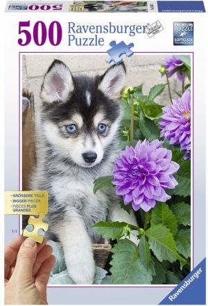 Ravensburger Puzzle 500el Szczeniak Husky (136827) 1