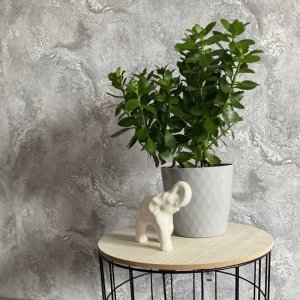 Sintra Tapeta Sintra 402252 Livio 19