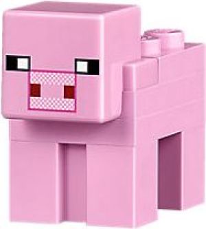 LEGO Minecraft Chatka czarownicy (21133) 8