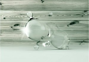 DecoNest Fototapeta - Piękno w kropli wody - 300X210 1