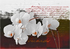 DecoNest Fototapeta - Pamiętnik i orchidea - 300X210 1