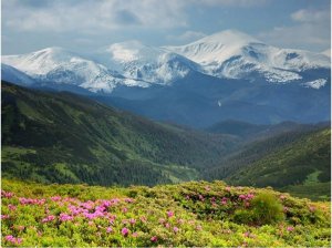 DecoNest Fototapeta - Wiosenny krajobraz górski - 300X231 1
