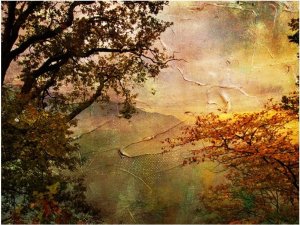 DecoNest Fototapeta - Painted autumn - 300X231 1