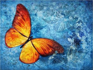 DecoNest Fototapeta - Fiery butterfly - 300X231 1