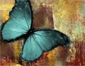DecoNest Fototapeta - Painted butterfly - 300X231 1