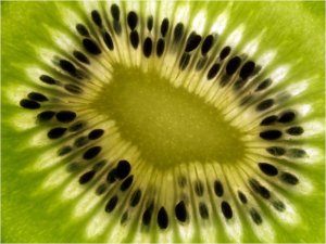 DecoNest Fototapeta - owoce: kiwi - 300X231 1