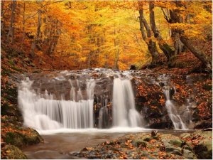 DecoNest Fototapeta - Autumn landscape : waterfall in forest - 300X231 1