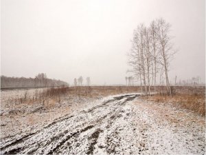 DecoNest Fototapeta - Winter field - 300X231 1