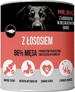 Mr. Big Mr.BIG kawałki w sosie z łososiem 800g dla psa 1