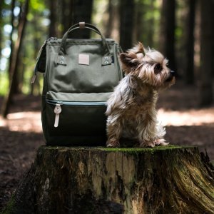 Plecak Himawari nr 26 XL 16" (tr20309) 19