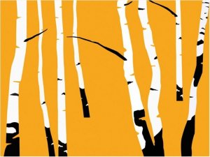 DecoNest Fototapeta - Birches on the orange background - 300X231 1