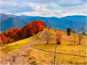 DecoNest Fototapeta - Kolorowy jesienny pejzaż, Karpaty - 300X231 1