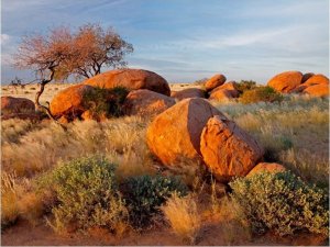 DecoNest Fototapeta - Pejzaż afrykański, Namibia - 300X231 1