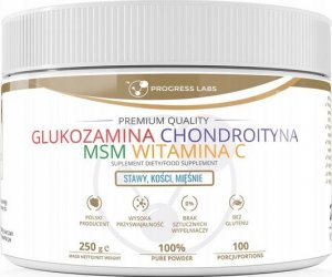 Progress Labs PROGRESS LABS Glukozamina Chondroityna Msm Witamina C 250g 1