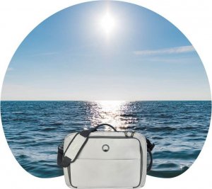 Torba Delsey Plecak na laptopa DAILY'S 15.6" torba/plecak szary 4