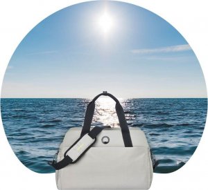 Torba Delsey Plecak na laptopa DAILY'S torba podręczna szara 3