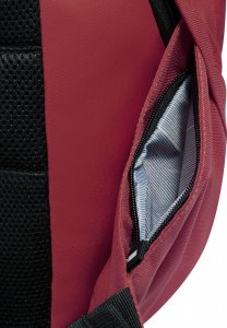 Plecak Delsey SECURBAN 15.6" (003334600-04) 10