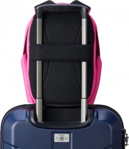 Plecak Delsey SECURBAN 9.7" (003334604-24) 8