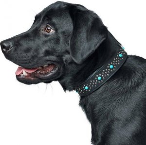 Hunter Hunter Obroża ze skóry dla psa Madona M- 55 cm 2