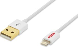 Kabel USB Ednet Lightning 1m (31021) 1