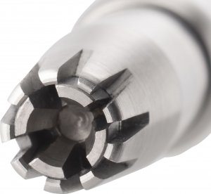 Trymer Zwilling NPC_79854-001-0 5