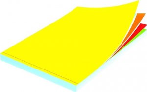 Wektor Papier ksero A4/100K kolorowy Intens 1