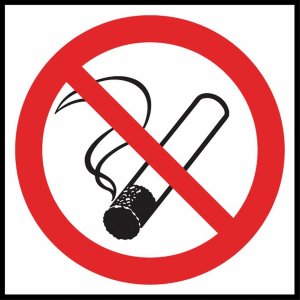 R.E.I.S. Z-12P - Znak ochrony ppoż. Palenie tytoniu zabronione 1