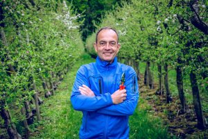 Sekator Lowe 1.104 kowadełkowy 12