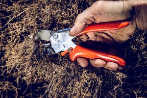 Sekator Lowe 1.104 kowadełkowy 13