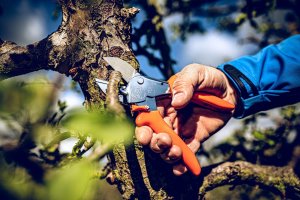 Sekator Lowe 1.104 kowadełkowy 4