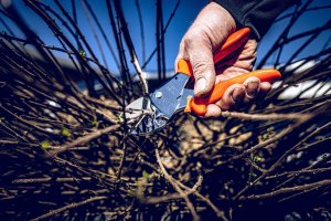 Sekator Lowe 1.104 kowadełkowy 6