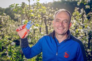 Sekator Lowe 1.104 kowadełkowy 7